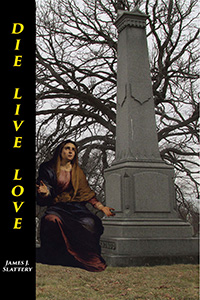 Book cover image for Die Live Love